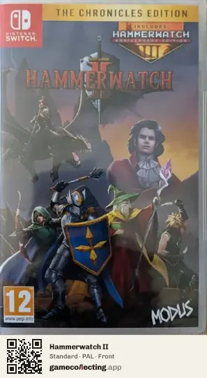 Hammerwatch II Nintendo Switch, PAL box front