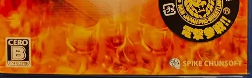 Fire Pro Wrestling World, the CERO letter on its front