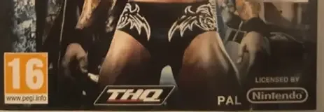 WWE SmackDown vs. Raw 2011, the PEGI square on its front