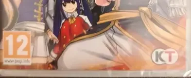Fairy Tail 2, the PEGI square on its front