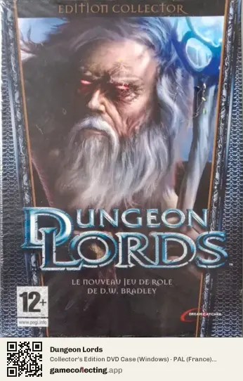 Dungeon Lords Computer, France box front
