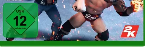 WWE 2K Battlegrounds, the USK square on its front