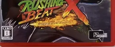 Rushing Beat X: Return of Brawl Brothers, the CERO letter on its front