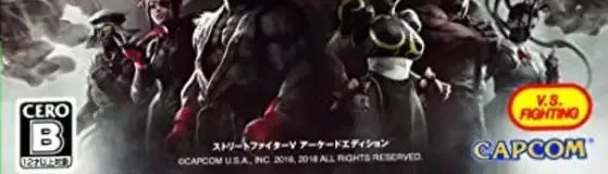 Street Fighter V, the CERO letter on its front