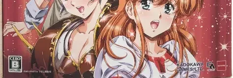 Langrisser I & II, the CERO letter on its front