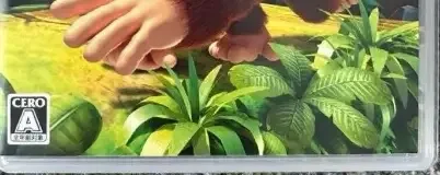 Donkey Kong Country Returns HD, the CERO letter on its front