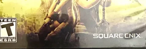 Final Fantasy XII, the ESRB box on its front