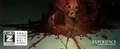 Spirit Hunter: Death Mark II, the CERO letter on its front