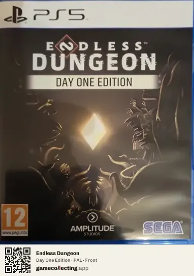 Endless Dungeon PlayStation 5, PAL box front