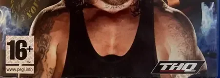 WWE SmackDown vs. Raw 2008, the PEGI square on its front