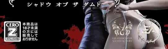 Shadows of the Damned, the CERO letter on its front