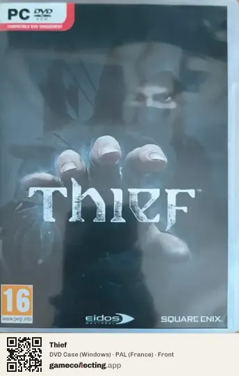 Thief Computer, France box front
