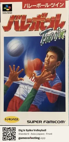 Dig & Spike Volleyball Super Nintendo Entertainment System, Asia box front