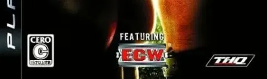 WWE SmackDown vs. Raw 2009, the CERO letter on its front