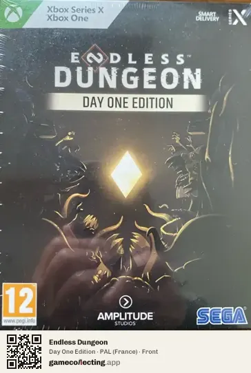 Endless Dungeon Xbox Series X, France box front