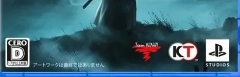 Rise of the Ronin, the CERO letter on its front