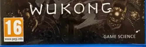 Black Myth: Wukong, the PEGI square on its front