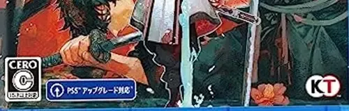 Fate/Samurai Remnant, the CERO letter on its front
