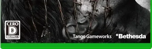 The Evil Within, the CERO letter on its front