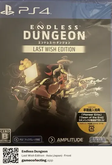 Endless Dungeon PlayStation 4, Asia box front