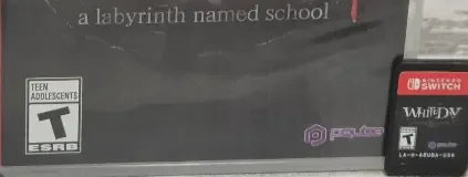 White Day: A Labyrinth Named School, the ESRB box on its front