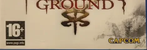 Haunting Ground, the PEGI square on its front