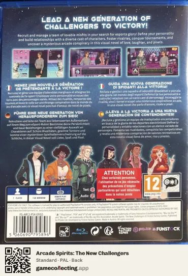 Arcade Spirits: The New Challengers PlayStation 4, PAL box back