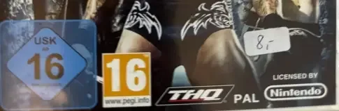 WWE SmackDown vs. Raw 2011, the USK square on its front