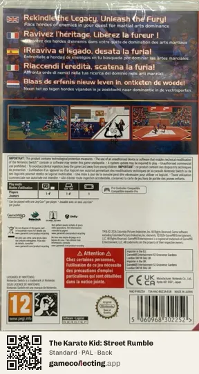 The Karate Kid: Street Rumble Nintendo Switch, PAL box back