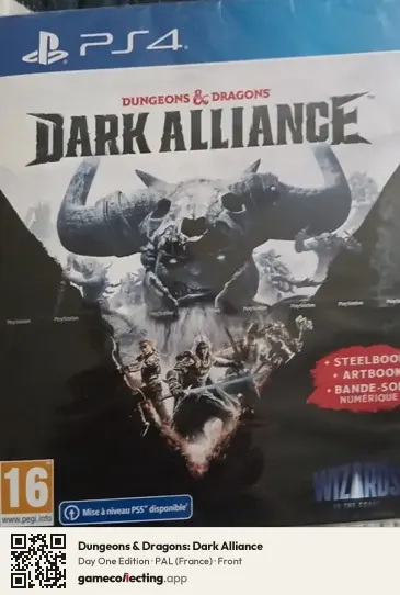 Dungeons & Dragons: Dark Alliance PlayStation 4, France box front