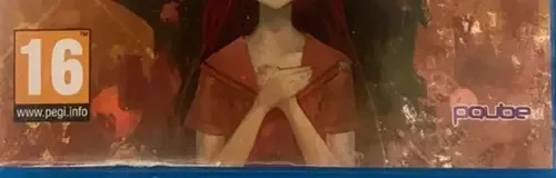 Steins;Gate 0, the USK square on its front