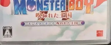 Monster Boy and the Cursed Kingdom, the GRAC mark on its front