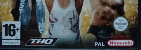 WWE WrestleMania XIX, the PEGI square on its front
