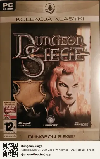 Dungeon Siege Computer, Poland box front