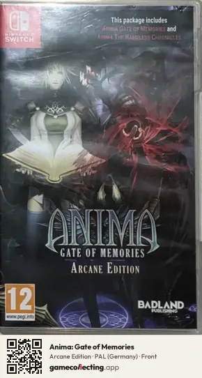 Anima: Gate of Memories Nintendo Switch, Germany box front
