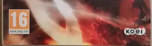 Dynasty Warriors 8, the PEGI square on its front