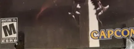 Devil May Cry, the ESRB box on its front