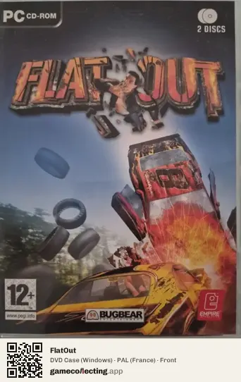 FlatOut Computer, France box front