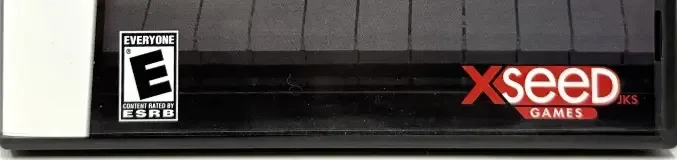KORG DS-10 Synthesizer, the ESRB box on its front