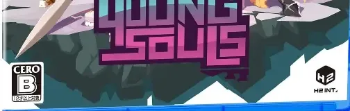 Young Souls, the CERO letter on its front