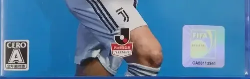 FIFA 19, the CERO letter on its front
