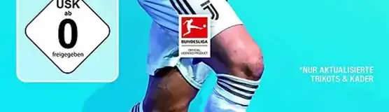 FIFA 19, the USK square on its front