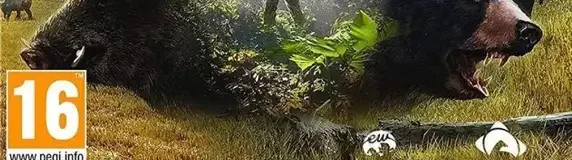 theHunter: Call of the Wild, the PEGI square on its front