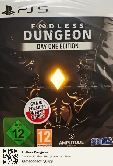Endless Dungeon PlayStation 5, Germany box front