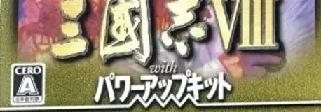 Romance of the Three Kingdoms VIII, the CERO letter on its front