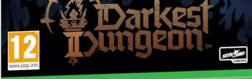 Darkest Dungeon II, the PEGI square on its front