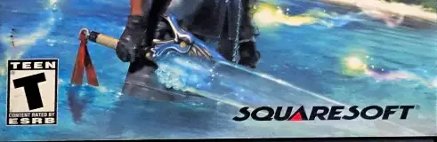 Final Fantasy X, the ESRB box on its front