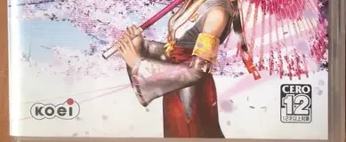 Samurai Warriors: State of War, the CERO letter on its front