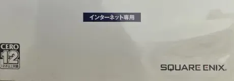 Final Fantasy XI, the CERO letter on its front