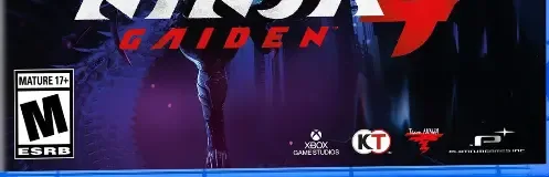 Ninja Gaiden 4, the ESRB box on its front